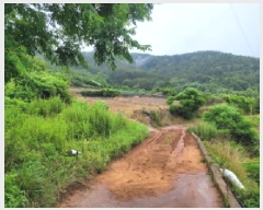  2025Ÿ��51607 ���� ������ ������ �ź��� 819-1      ����(��1)���