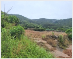  2025Ÿ��51607 ���� ������ ������ �ź��� 819-1      ����(��1)���