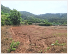  2025Ÿ��51607 ���� ������ ������ �ź��� 819-1      ����(��1)���