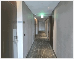  2025Ÿ51626   ߵ 1814-8 ȣڶ 1 121207ȣ    ܵ(ȣ)