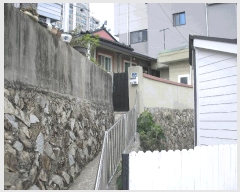  2025Ÿ��51631 ���� ������ �ſ��� ��231-7       ���ð��