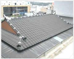  2025Ÿ��51631 ���� ������ �ſ��� ��231-7       ���ð��