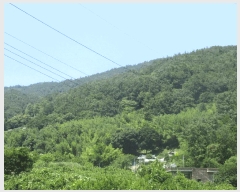  2025Ÿ��51649 ���� ��õ�� ������ ��渮 ��192      ����(�Ӿ�)���