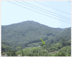  2025Ÿ��51649 ���� ��õ�� ������ ��渮 ��192      ����(�Ӿ�)���