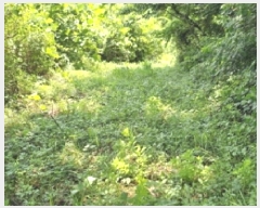  2025Ÿ��51649 ���� ��õ�� ������ ��渮 ��192      ����(�Ӿ�)���