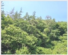  2025Ÿ��51649 ���� ��õ�� ������ ��渮 ��192      ����(�Ӿ�)���