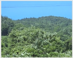  2025Ÿ��51649 ���� ��õ�� ������ ��渮 ��192      ����(�Ӿ�)���