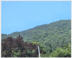  2025Ÿ��51649 ���� ��õ�� ������ ��渮 ��192      ����(�Ӿ�)���