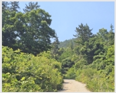  2025Ÿ��51649 ���� ��õ�� ������ ��渮 ��192      ����(�Ӿ�)���