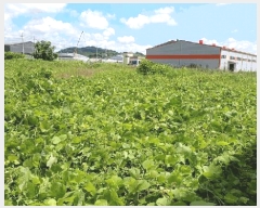  2025Ÿ51661  õ ط ȣθ 1202-8      ()