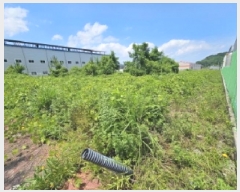  2025Ÿ51661  õ ط ȣθ 1202-8      ()