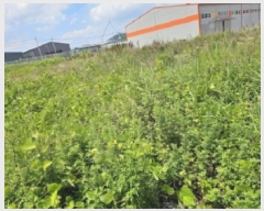  2025Ÿ51661  õ ط ȣθ 1202-8      ()