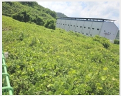  2025Ÿ51661  õ ط ȣθ 1202-8      ()