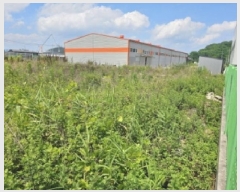  2025Ÿ51661  õ ط ȣθ 1202-8      ()