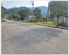  2025Ÿ��51667 ���� ����� ����� �űݸ� 1589-2      ����(����)���