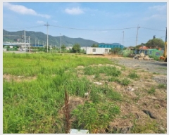  2025Ÿ��51667 ���� ����� ����� �űݸ� 1589-2      ����(����)���