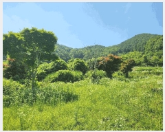  2025Ÿ��51703 ���� ������ ������ ��õ�� 767      ����(��1)���