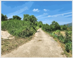  2025Ÿ��51703 ���� ������ ������ ��õ�� 767      ����(��1)���