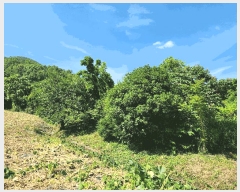  2025Ÿ��51703 ���� ������ ������ ��õ�� 767      ����(��1)���