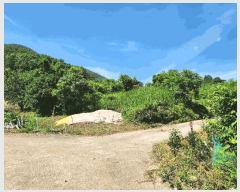  2025Ÿ��51703 ���� ������ ������ ��õ�� 767      ����(��1)���