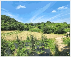  2025Ÿ��51703 ���� ������ ������ ��õ�� 767      ����(��1)���