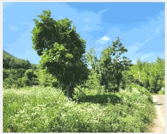  2025Ÿ��51703 ���� ������ ������ ��õ�� 767      ����(��1)���