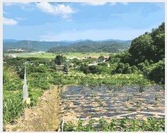  2025Ÿ��51703 ���� ������ ������ ��õ�� 767      ����(��1)���