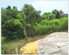  2025Ÿ��51703 ���� ������ ������ ��õ�� 767      ����(��1)���