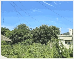  2025Ÿ��51715 ���� ������ ��ϵ� 1760       ����(����)���