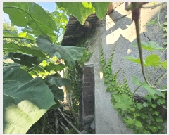  2025Ÿ��51715 ���� ������ ��ϵ� 1760       ����(����)���