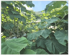  2025Ÿ��51715 ���� ������ ��ϵ� 1760       ����(����)���