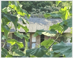  2025Ÿ��51715 ���� ������ ��ϵ� 1760       ����(����)���