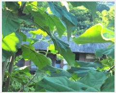  2025Ÿ��51715 ���� ������ ��ϵ� 1760       ����(����)���