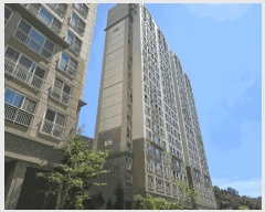  2025Ÿ��51754 ���� ����� ������ ���ʸ� 1844 ���ѿ����� 105�� 2��204ȣ   ����Ʈ���