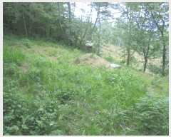  2025Ÿ��51778 ���� ���ﱺ ������ �뵿�� ��28      ����(�Ӿ�)���