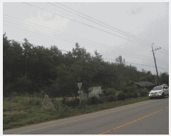  2025Ÿ��51778 ���� ���ﱺ ������ �뵿�� ��28      ����(�Ӿ�)���