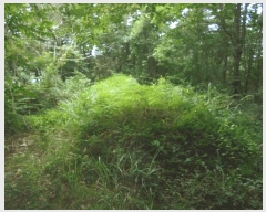  2025Ÿ��51778 ���� ���ﱺ ������ �뵿�� ��28      ����(�Ӿ�)���