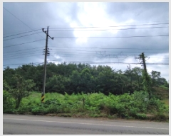  2025Ÿ��51778 ���� ���ﱺ ������ �뵿�� ��28      ����(�Ӿ�)���