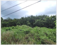  2025Ÿ��51778 ���� ���ﱺ ������ �뵿�� ��28      ����(�Ӿ�)���