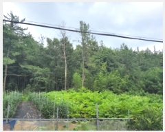  2025Ÿ��51778 ���� ���ﱺ ������ �뵿�� ��28      ����(�Ӿ�)���