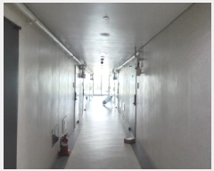  2025Ÿ��51841  ���ǽ��ڰ��