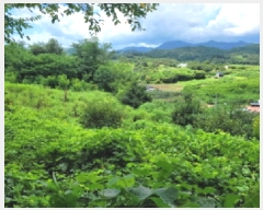  2025Ÿ��51871  �����