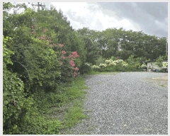  2025Ÿ��51871  �����