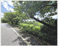  2025Ÿ��51871  �����