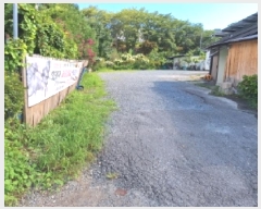  2025Ÿ��51871  �����