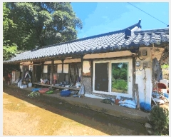  2025Ÿ��51883  ���ð��