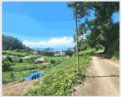  2025Ÿ��51883  ���ð��