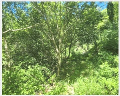  2025Ÿ��51883  ���ð��