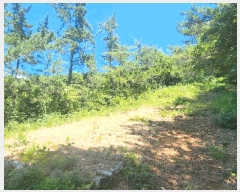  2025Ÿ��51883  ���ð��