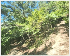  2025Ÿ��51883  ���ð��